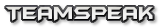 TS3